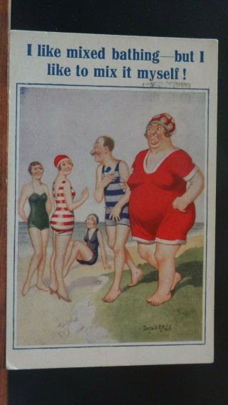 Donald Mcgill Seaside Comic Postcard: Bbw Fat Lady,  Flappers & Swimwear Theme