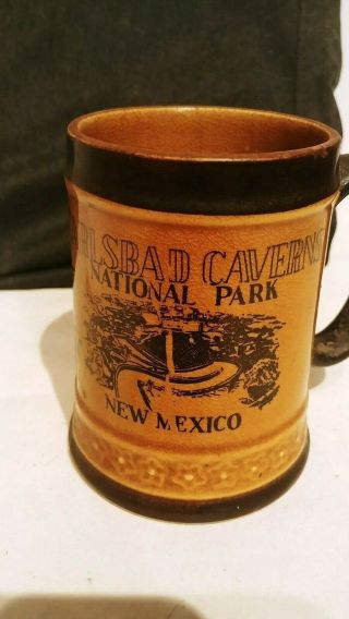 Vintage Carlsbad Caverns National Park Ceramic Mug Coffee