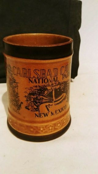 Vintage Carlsbad Caverns National Park Ceramic Mug Coffee 4