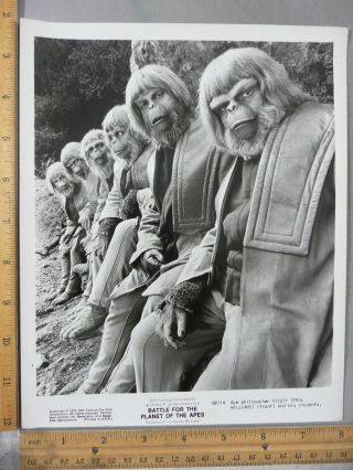 Rare Vtg 1973 Battle For The Planet Of The Apes Movie Photo Still