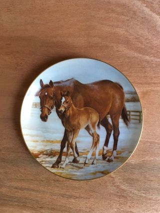 Safe And Sound Modern Masters 9 1/4 Inch Horse Themed Collector Plate