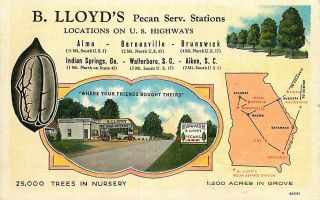Linen Roadside Postcard B Lloyd 