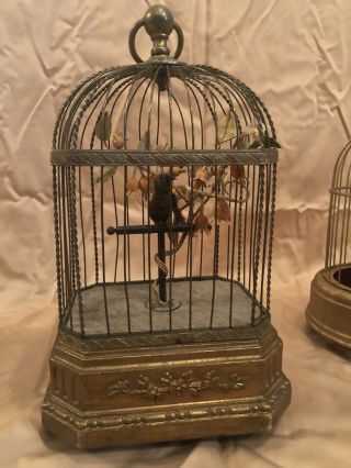 Various Musical Bird Cages 4