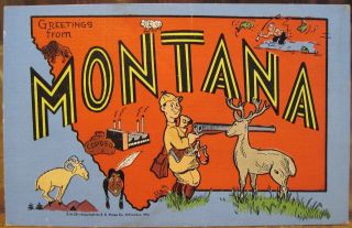 Greetings From Montana Large Letter Linen Hunter Cartoon Deer Goat Postcard