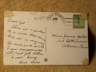 Vintage Postcard Lonesome Pine,  M.  T.  C.  Newton Hamilton,  Pa. 2