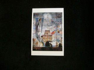Salvador Dali Museum (discovery Of America) Post Card Florida