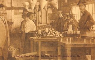 Fl 1918 Florida Sweet Potato Bay Packing Co.  Apalachicola,  Fla Franklin County