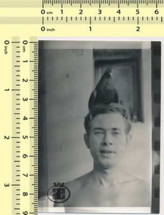 005 Film Error Shirtless Guy With Pigeon On Head Abstract Man Portrait Old Photo