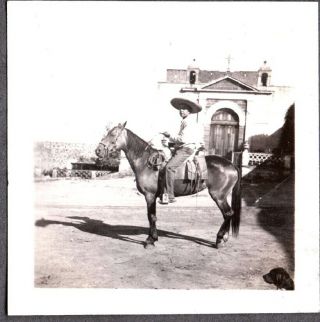 Vintage Photograph Dog Spurs Cowboy Vaquero Sombrero Charro Horse Mexico Photo