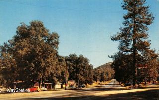 Postcard Ca Pine Valley Old Hwy 80 Cuyamaca Mtns San Diego Co California 1950s