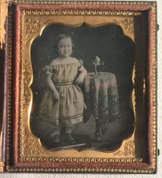 1/6 Plate Daguerreotype Of Pretty Little Girl With A Bird By Knapp Ny