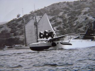 9 Vintage Catalina Island 1920 & 1950 Black & White Photos,  Diving & Sea Plane 6