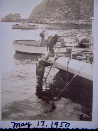 9 Vintage Catalina Island 1920 & 1950 Black & White Photos,  Diving & Sea Plane 7