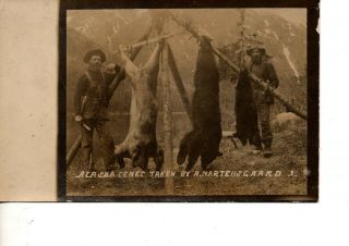 Rppc Hunting Dead Bears Knife Hunters Sportsman Alaska 510