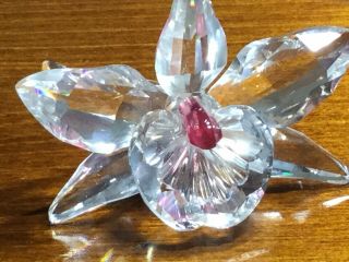 Swarovski Crystal Flower " Orchid Blossom”
