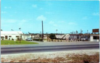 1960s Florida Postcard Delaware Chicken Farm Hollywood Fl Roadside Hwy 7 Poultry