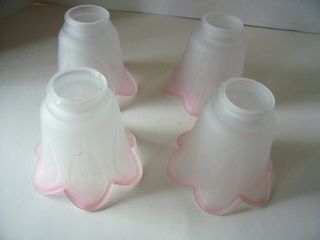 Set Of 4 Vtg Frosted Glass Light Shades Bell Tulip Lamp 2 " Pink Trim Edge