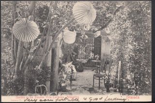 Spain Postcard - Garden Of The Pension Villa Carmona,  Alhambra,  Granada Mb213
