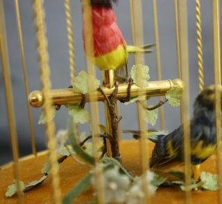 Reuge Musical Singing Two Bird Cage Call Box Switzerland Sainte Croix Gold Tone 11