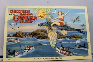 California Ca Santa Catalina Island Postcard Old Vintage Card View Standard Post