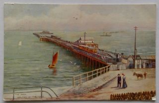 Walton - On - The - Naze The Pier 1905 Postcard (p306)