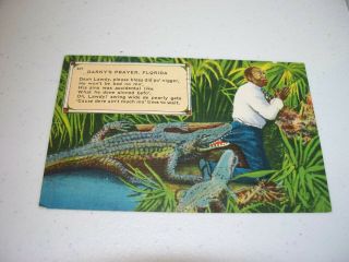 Vintage Antique Postcard Black Americana Darkys Prayer Alligator Florida 1957