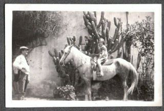 Vintage Photograph Cactus Vaquero Girls Fashion Saddle Charro Horse Mexico Photo