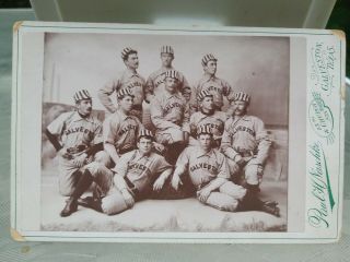 Baseball Cabinet Cards Of Galveston Texas Baseball Team.  10 Players Pictured.