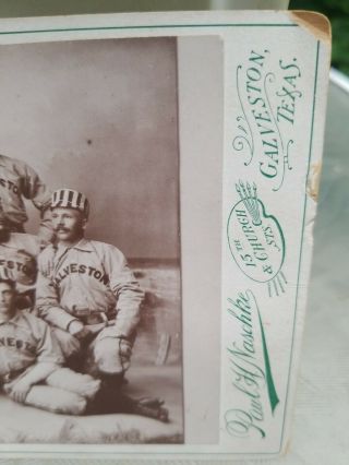 Baseball Cabinet Cards of Galveston Texas Baseball Team.  10 Players Pictured. 3