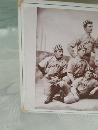 Baseball Cabinet Cards of Galveston Texas Baseball Team.  10 Players Pictured. 4