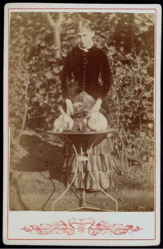 Cdv Cabinet Photo Woman With Dog And Two Rabbits Rare (4208)