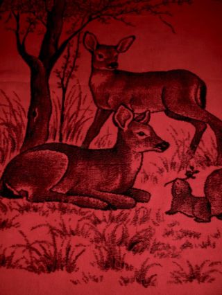 Vintage San Marcos Blanket Deer And Squirrel Red Black 83 X 48 Mexico