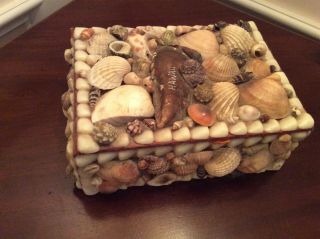 Seashell Sea Shell Trinket Box From Hawaii