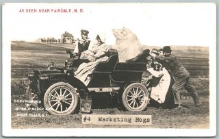 Fairdale N.  D.  Exaggerated Pig In Car Antique Real Photo Postcard Rppc