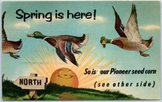 Vintage Linen Advertising Postcard Pioneer Seed Corn Ducks / 1957 Ks Cancel