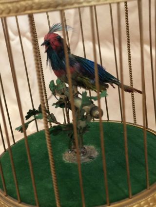 French Musical Bird Cage