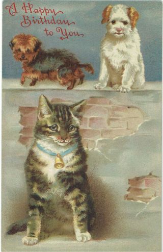 Helene Maguire Artist Signed Old Postcard Cat & Dogs Stewart & Woolf 1909