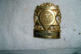 Obsolete 1930’s State Of Illinois Deputy Sheriff Dupage County Badge -