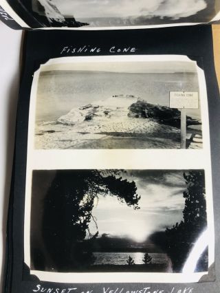 Vintage 1940 ' s - 50 ' s Black & White Photo Album Yellowstone,  Grand Canyon and More 5