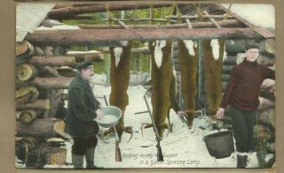 Maine/ Deer Hanging On Log/ Hunters/shotguns/ " Getting Ready For Supper " /postcard