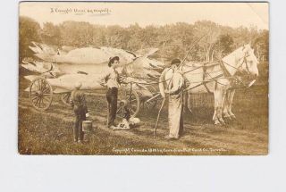 Rppc Real Photo Postcard Exaggeration Fish On Horse Drawn Wagon I Caught These B