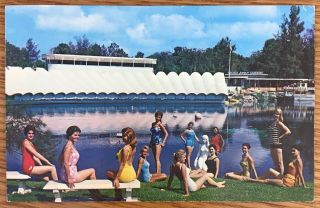 Weeki Wachee Florida Lovely Mermaids Pose On Beach Schamacher Postcard 95