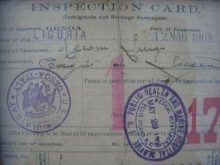 1908 Italian Immigration Vaccine Cards Luigi Meconi Genealogy Italy Ellis Island