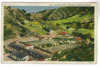 Bird Park,  Catalina Island,  California,  Multiple Bird Cages,  1930 