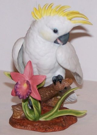 Lovely 1991 Lenox Fine Porcelain Cockatoo With Flower Figurine