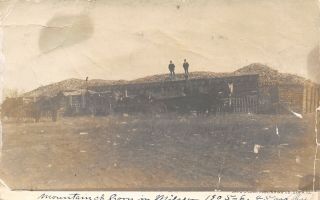 Illinois Real Photo Postcard Men In Suits On Corn Mountain Huge Crib Horses 1905