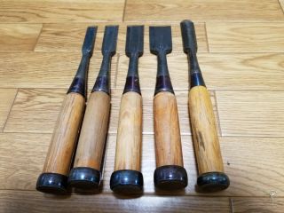 Japanese Chisel Nomi With Sign Set Of 5 Carpentry Tool Japan Blade