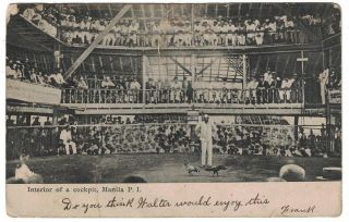 Antique 1908 Interior Of A Cock Pit Cock Fighting Manila Philippines Postcard
