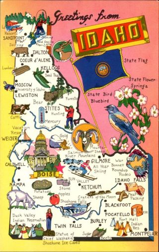 Idaho State Map Bird Bluebird Flower Syringa Flag Indian Reservation 1950s Card