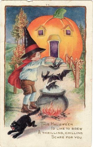Halloween Postcard,  Published By Whitney,  Pumpkin House,  Jol,  Little Witch.